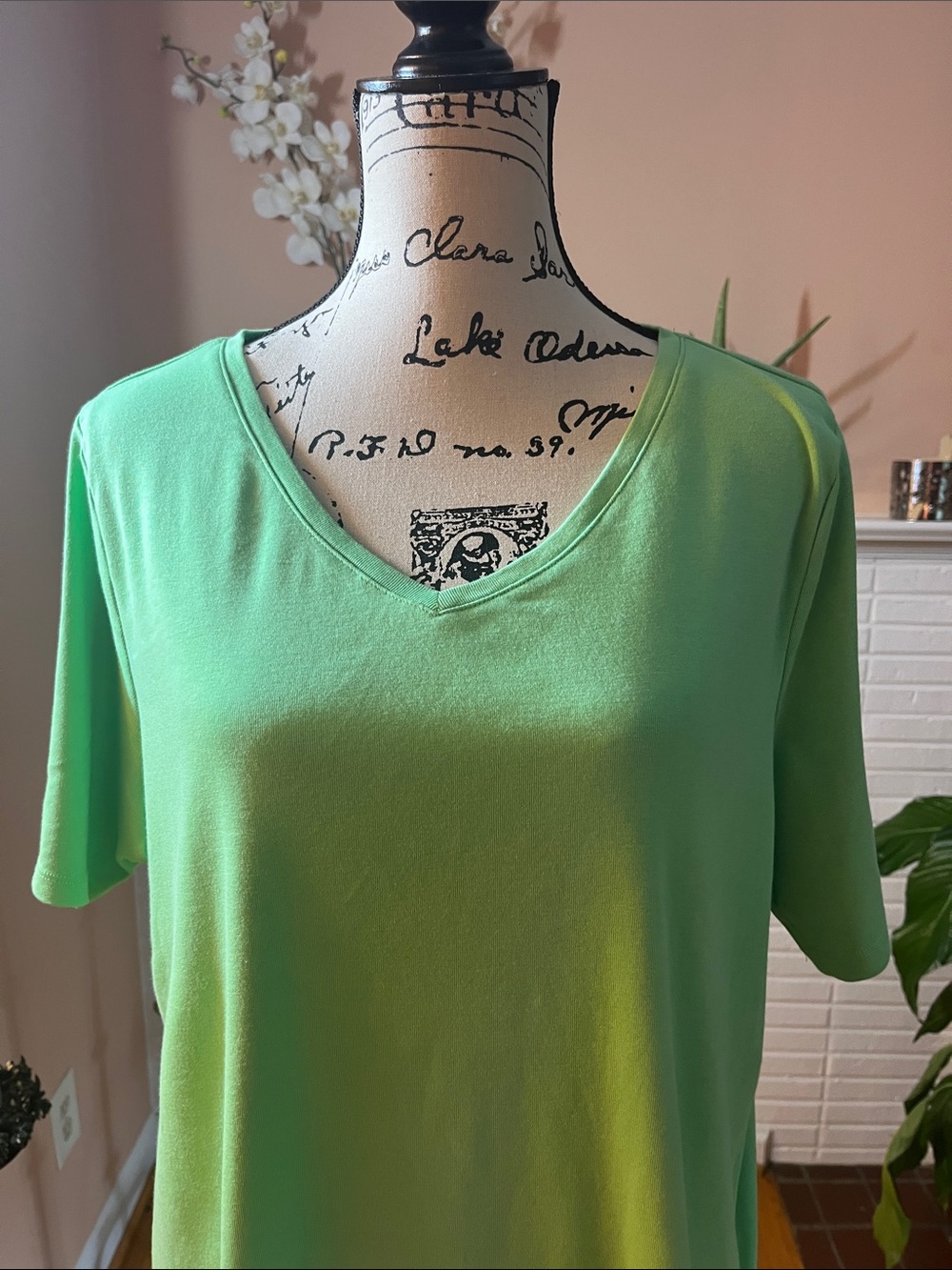 Women's Light Green V-Neck Short Sleeve Tee - Picture 2 of 7